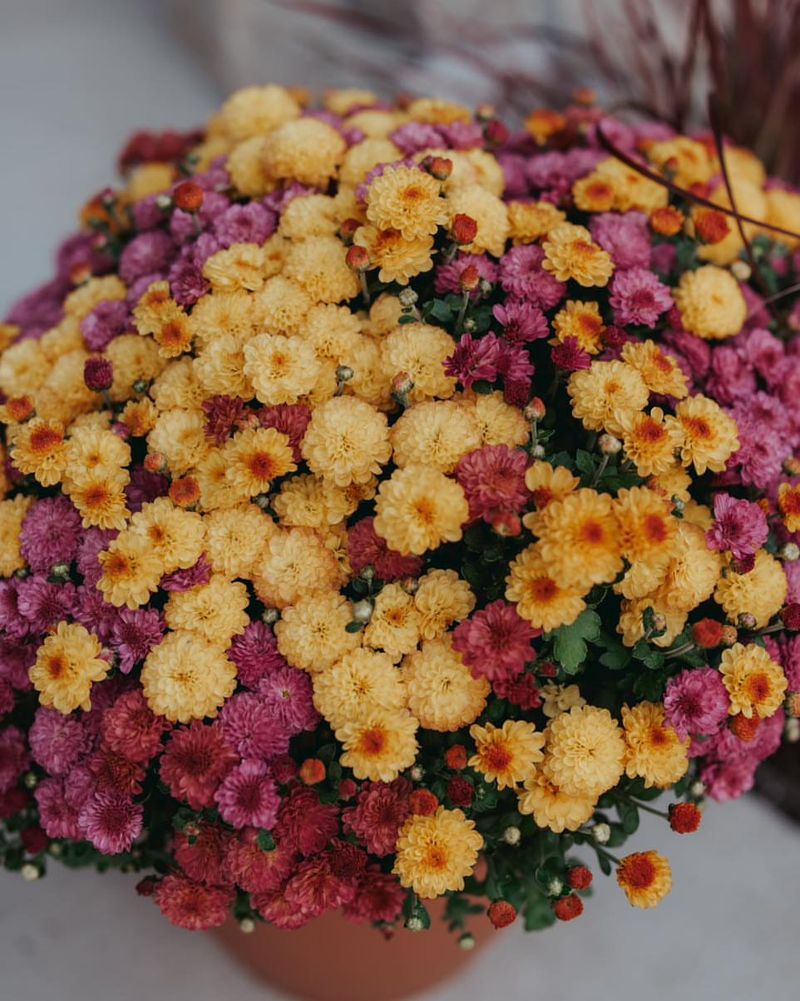 Protect from Extreme Temperature Swings