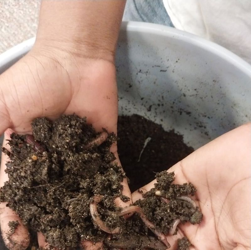 Prevents Nutrient Runoff During Spring Thaw