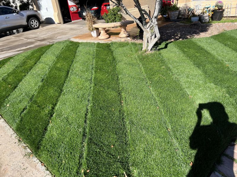 Winter Fertilizer Contains Special Nutrient Ratios