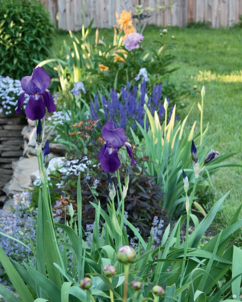 The Plant Flops Over Or Spreads Too Wide