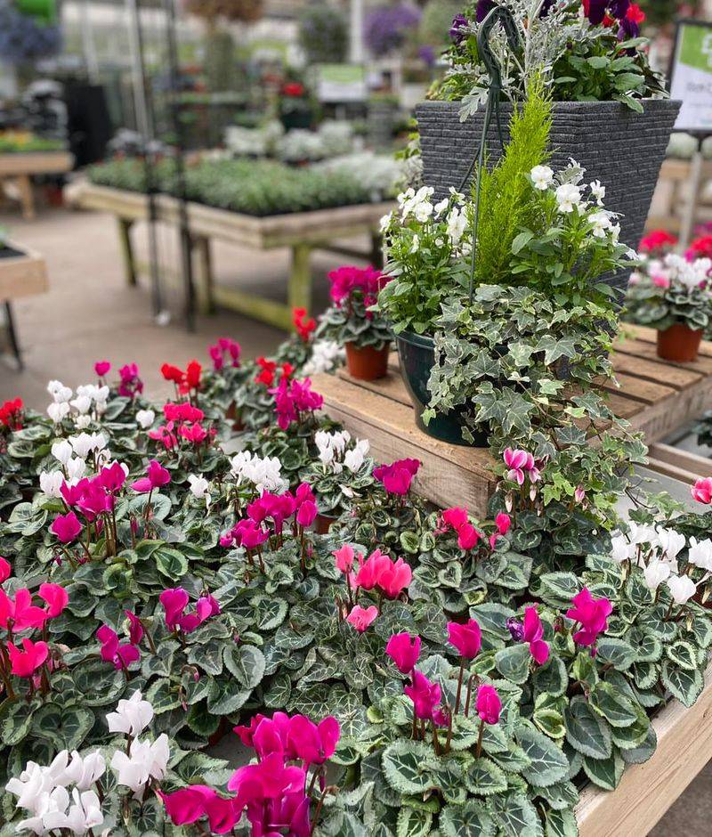 Maximum Value For Your Money