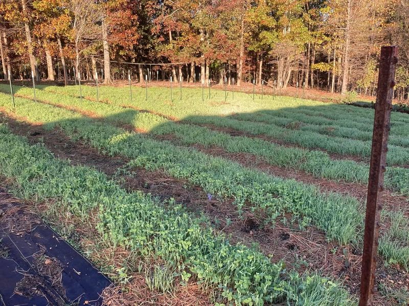 Soil Stays Workable Longer In Tennessee