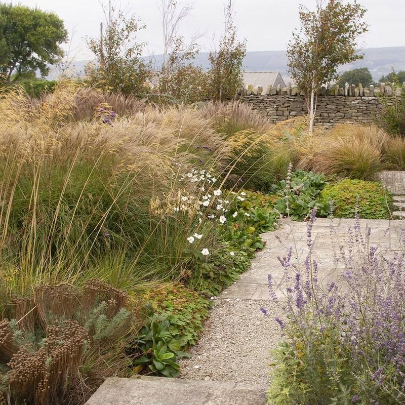 Embracing Natural Shapes And Patterns