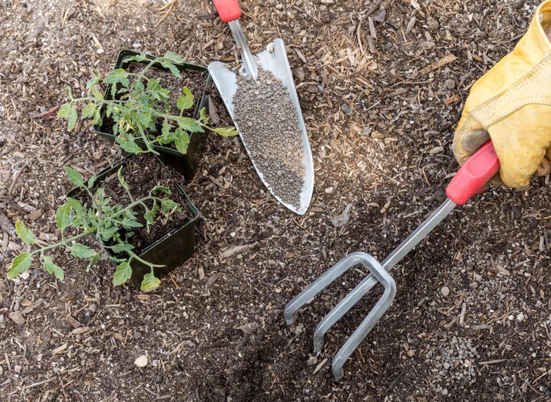 Neutralizing Acidic Soil For Better Growth