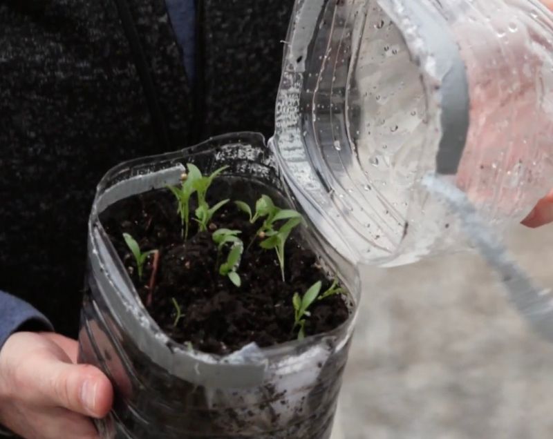 Neutralizing Acidic Soil Problems