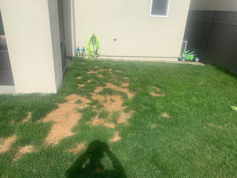 Eliminates Unpleasant Yard Odors