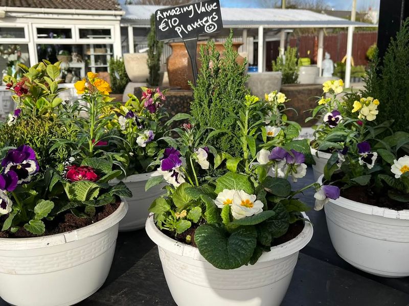 Install Windbreaks Around Your Garden Area