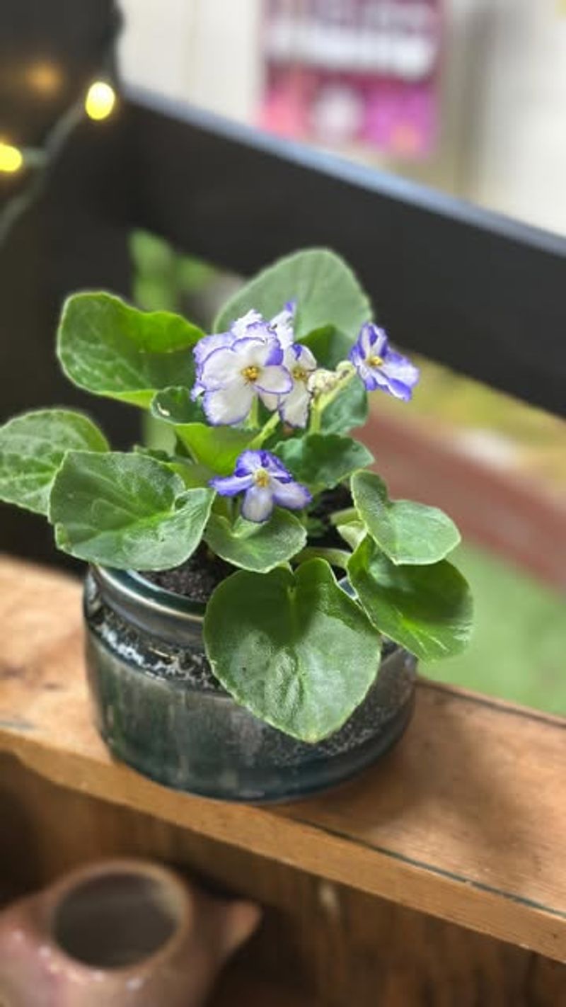 Master The Watering Balance