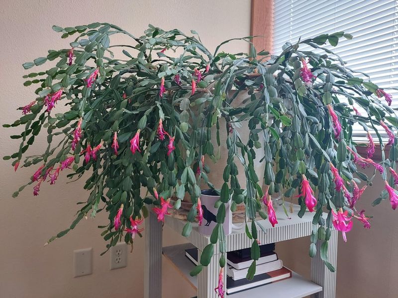 Water with Care and Consistency