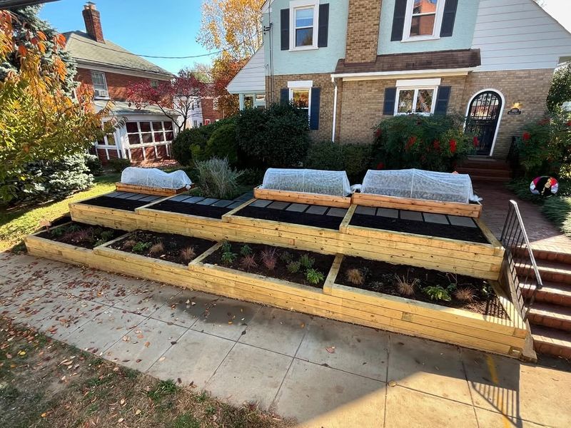 Vegetable Gardens in Front Yards