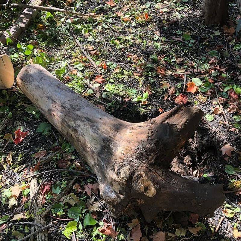 Negligence Changes Everything