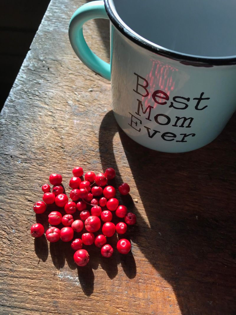 Historical Flavoring Before Artificial Substitutes