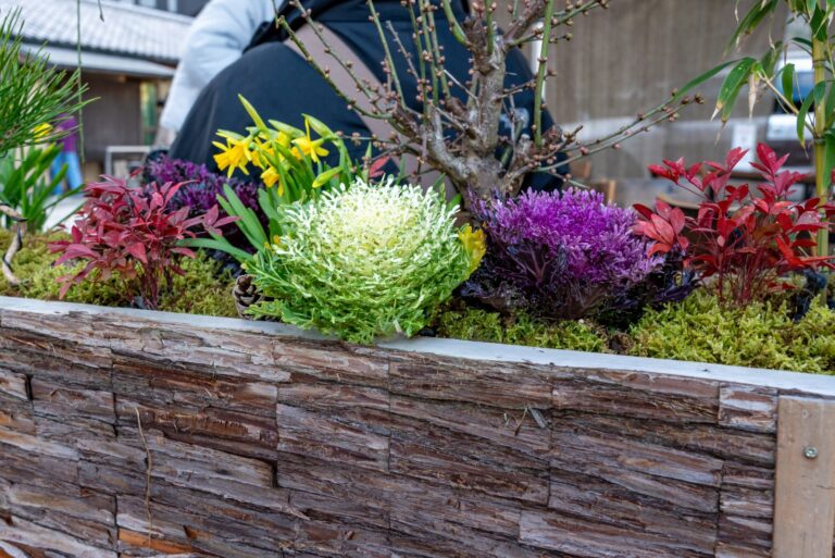 plants (featured image)