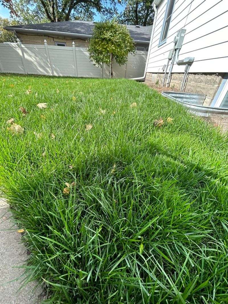 Plan Your Final Mow Strategically