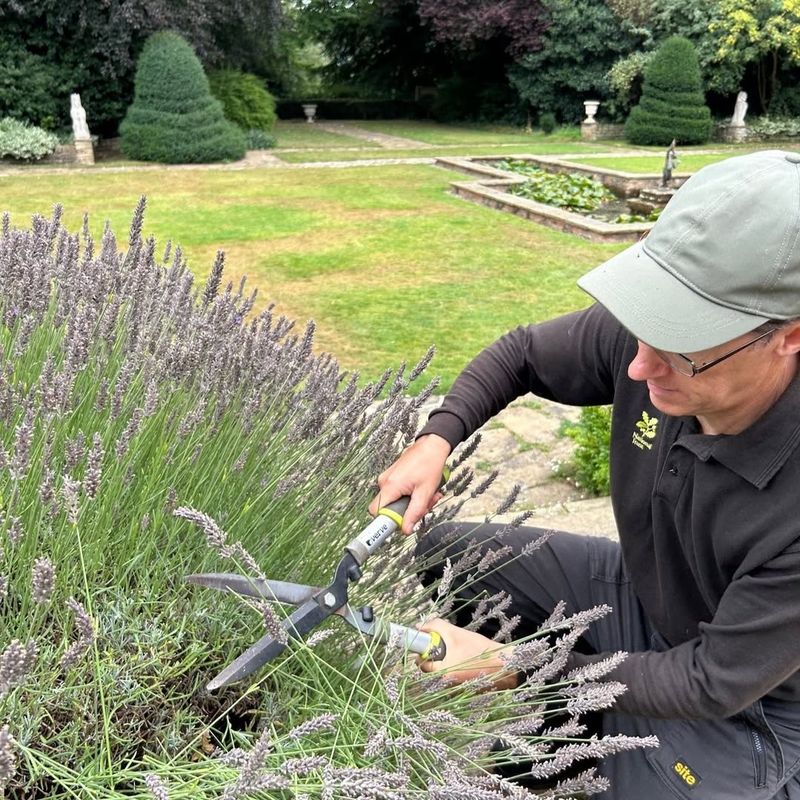 1. Prune Right After Flowering Ends