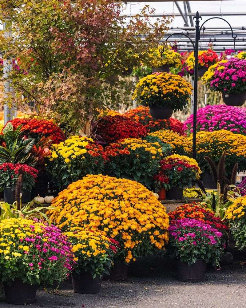 Selecting the Wrong Colors for Your Space