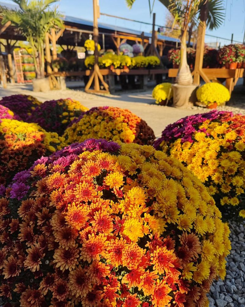 Selecting Based Only on Color