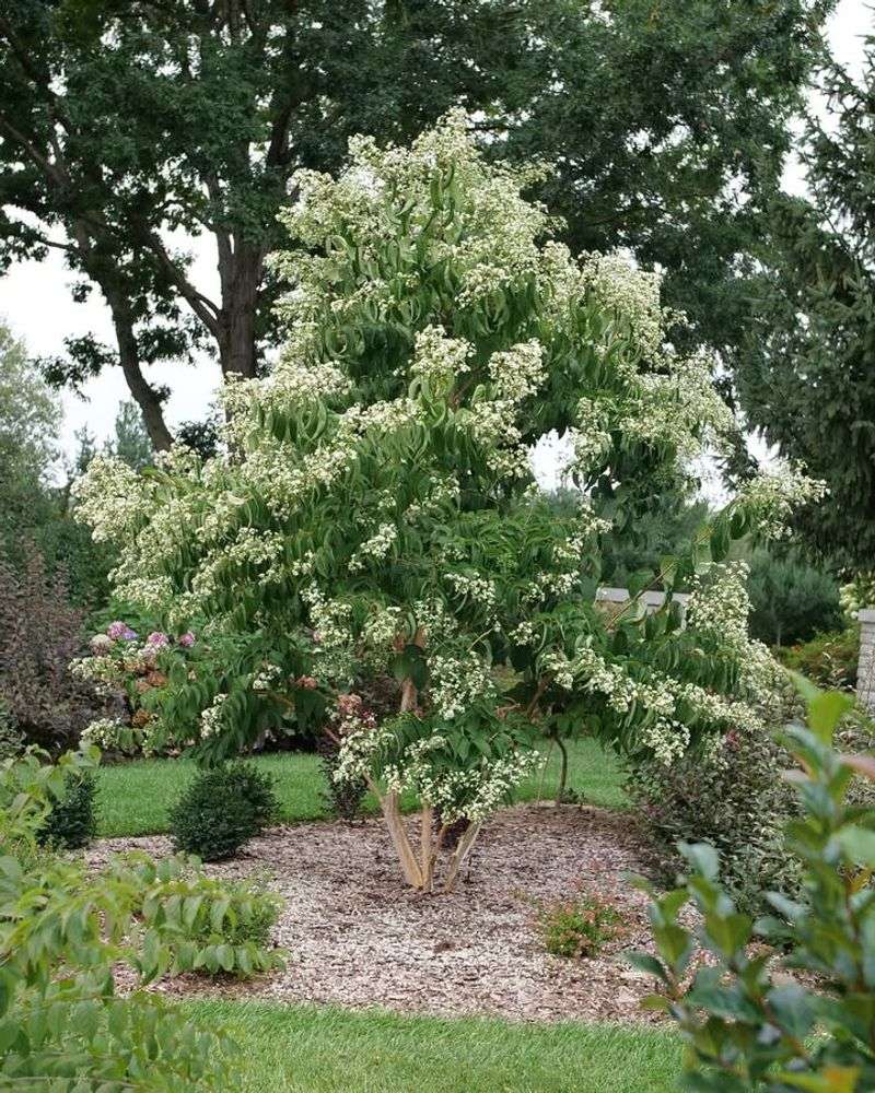 Supports Local Ecosystem And Biodiversity