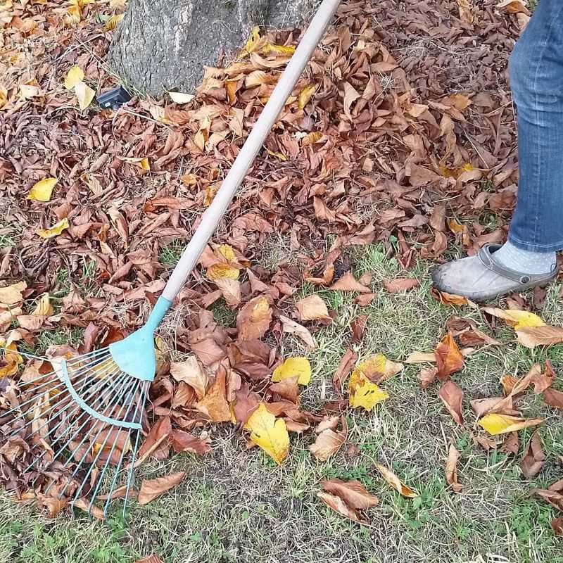 Natural Insulation Keeps Roots Warm During Cold Snaps