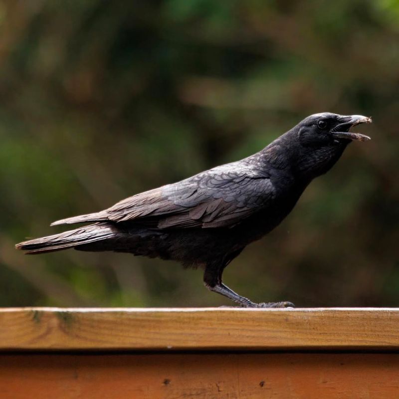 Early Warning System For Danger