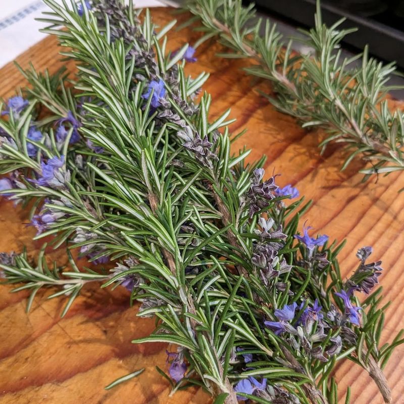 Stress Relief And Calming Properties