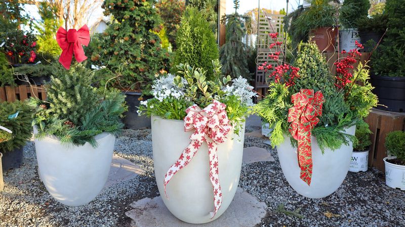 Versatile Design Options For Personal Style