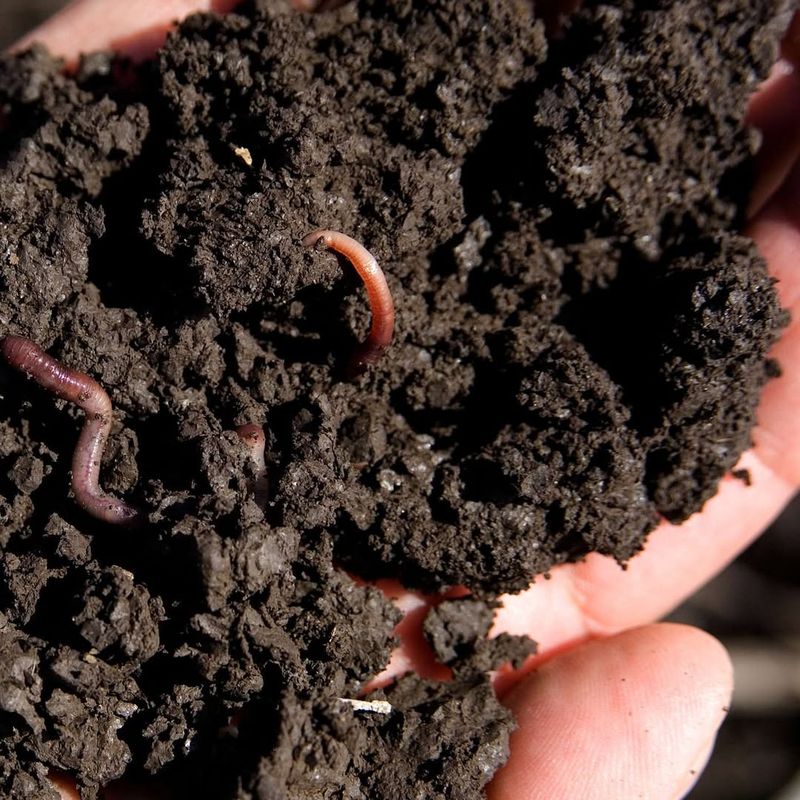 Boosting Beneficial Microbe Activity