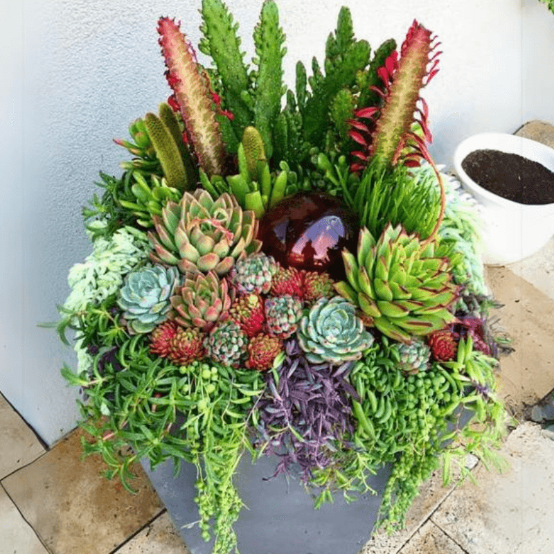 Root Systems Stay Warmer In Grouped Arrangements