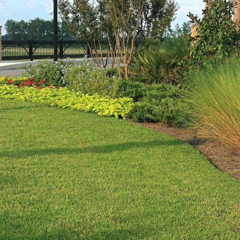 Fertilizer Applications Boost Winter Growth