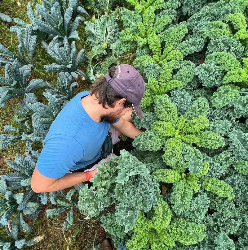 Planting Timing Makes Or Breaks Your Harvest