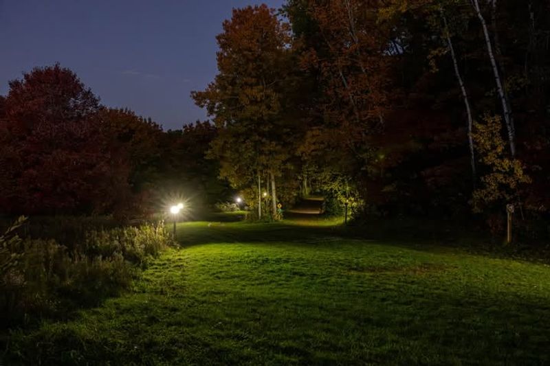 Shorter Days Mean Less Time For Yard Work