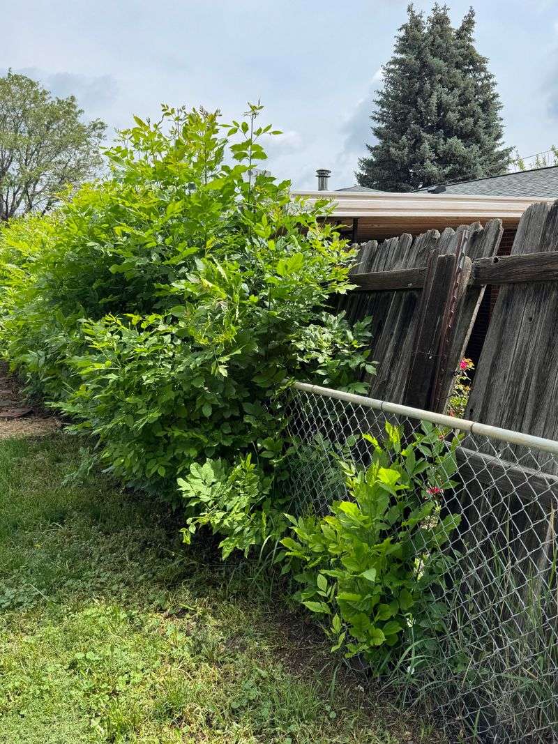 Documentation Protects Your Interests