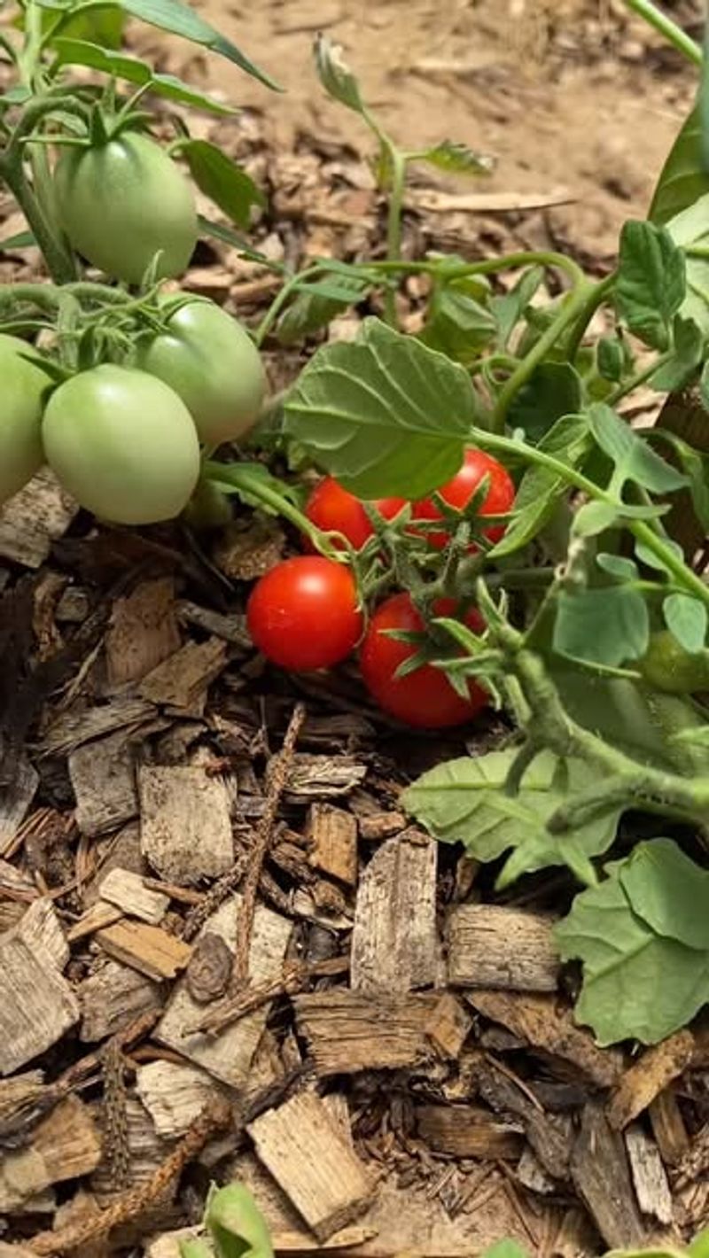 Right Next To Your House Foundation