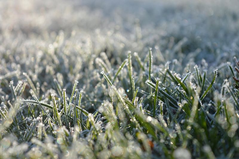 Frost Risk Varies Across The State