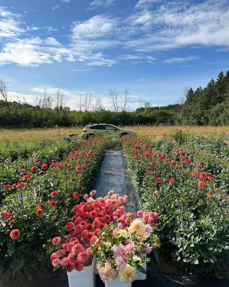 Pick The Perfect Sunny Spot