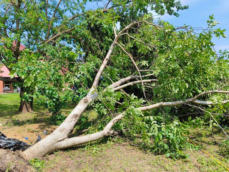 Communicate Calmly With Your Neighbor First