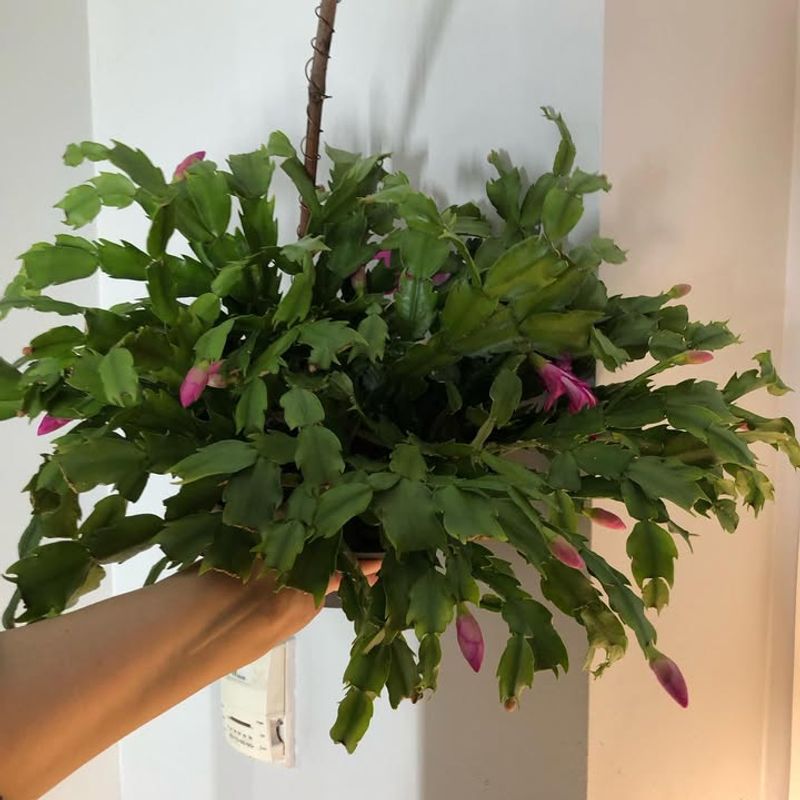 Water Less Frequently Starting In October