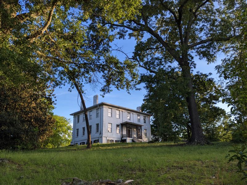 Abandoned Houses Wrapped in Green Blankets Near Athens