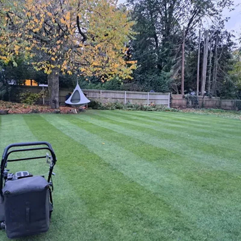 Timing Your Final Mow Matters In Indiana