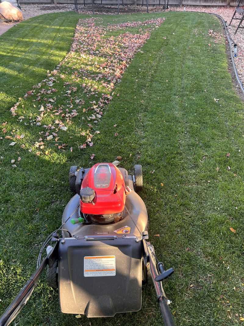 Keep Mowing Until Growth Actually Stops