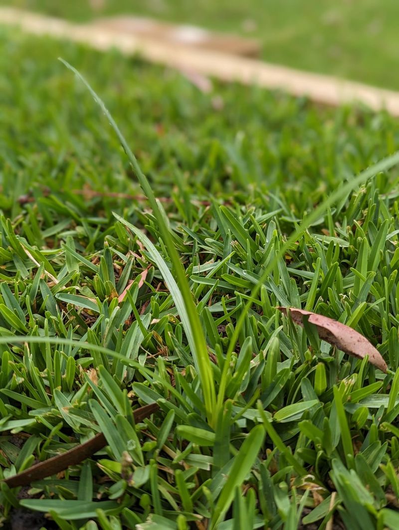 Monitor Growth Rate Changes Weekly