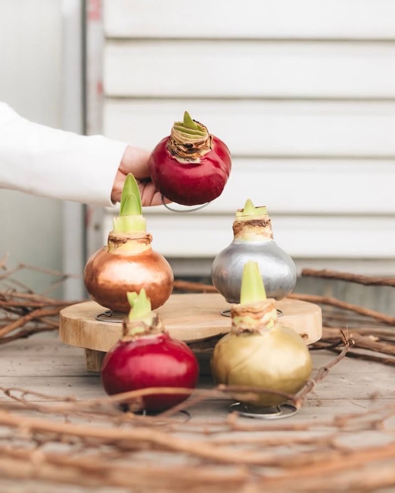 Multiple Buds Double Your Display