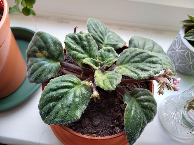 Avoid Cold Window Contact