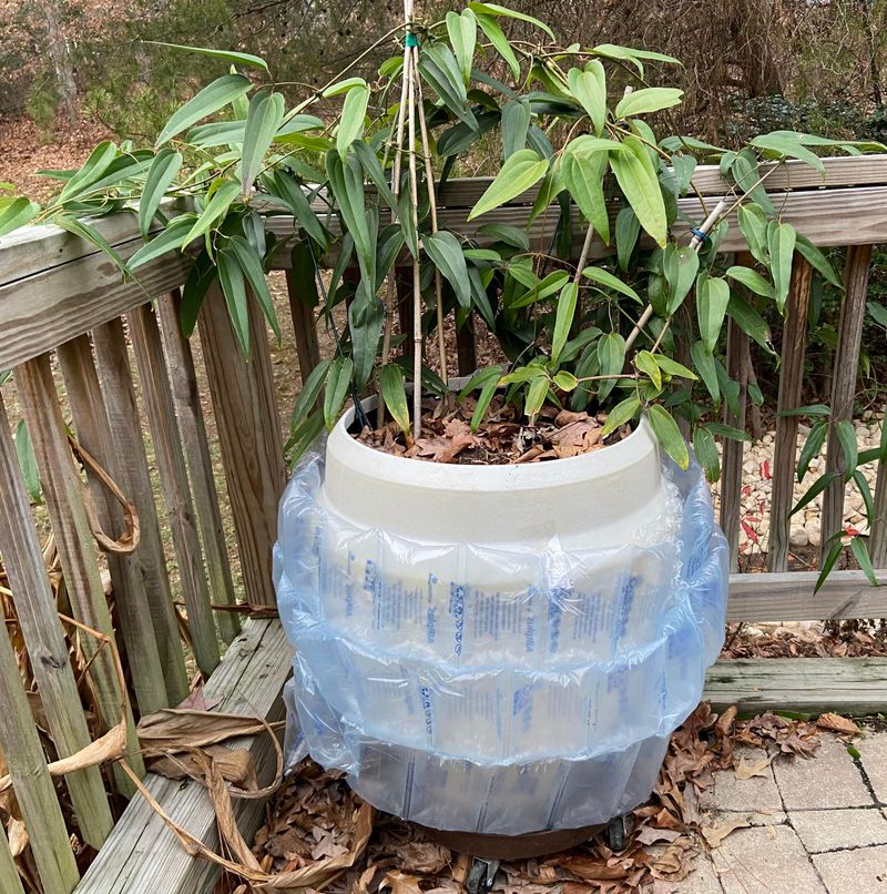 Wrap Pots In Bubble Wrap Or Burlap