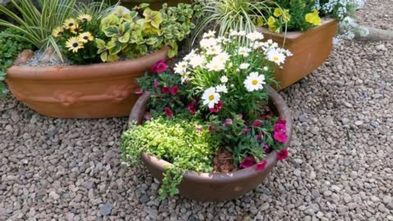Use Potting Mix Instead of Garden Soil