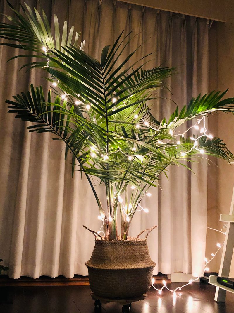 Using Christmas Lights for Extra Heat