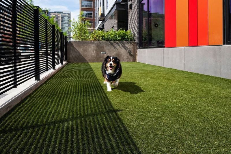 Design A Dog Run For Your Pets