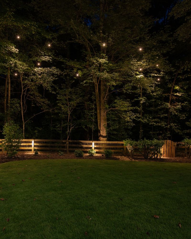 Reduce Outdoor Lighting At Night