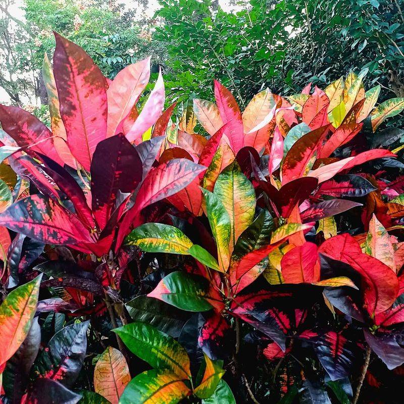 Sensitive Species Need Extra Care