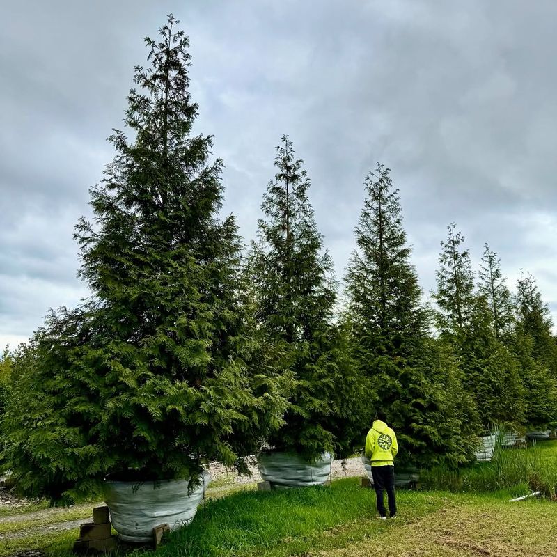 Perfect Match For Idaho's Unique Climate